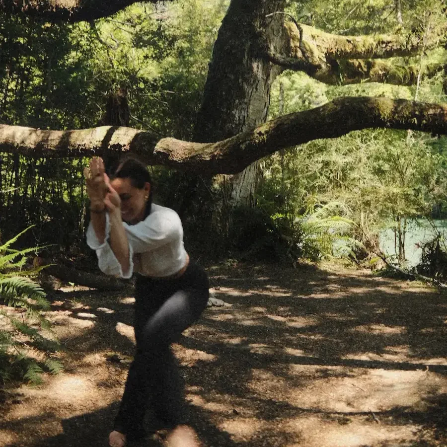 denise bayer yoga twist play